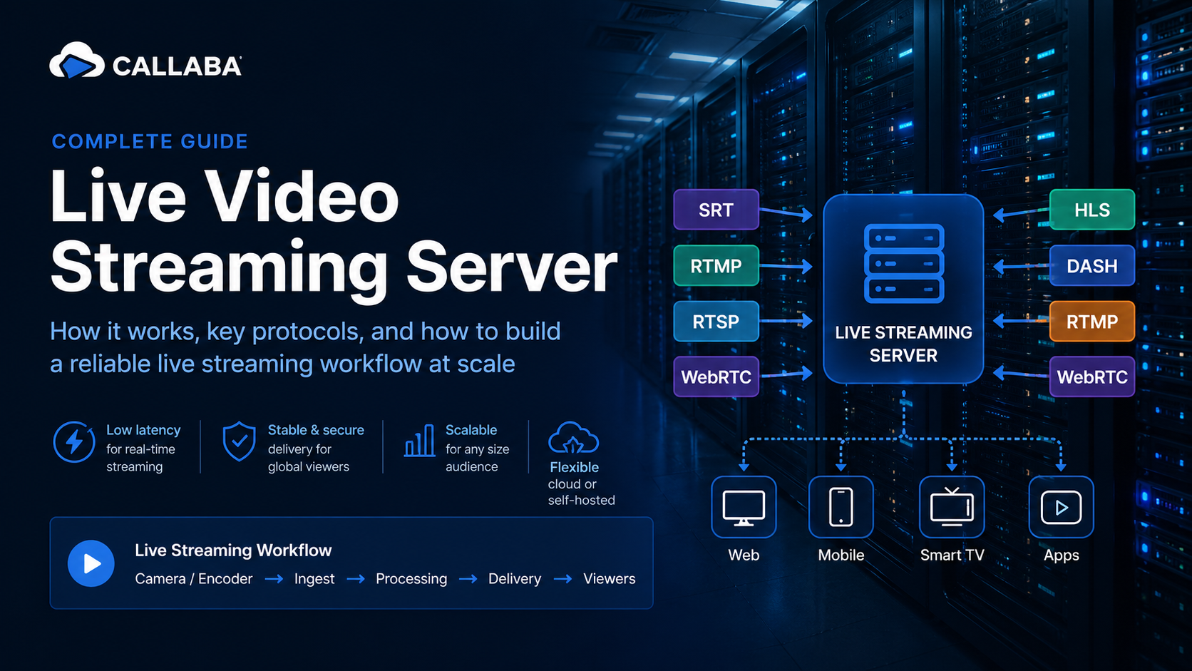 Live video streaming server: ingest, delivery and playback guide