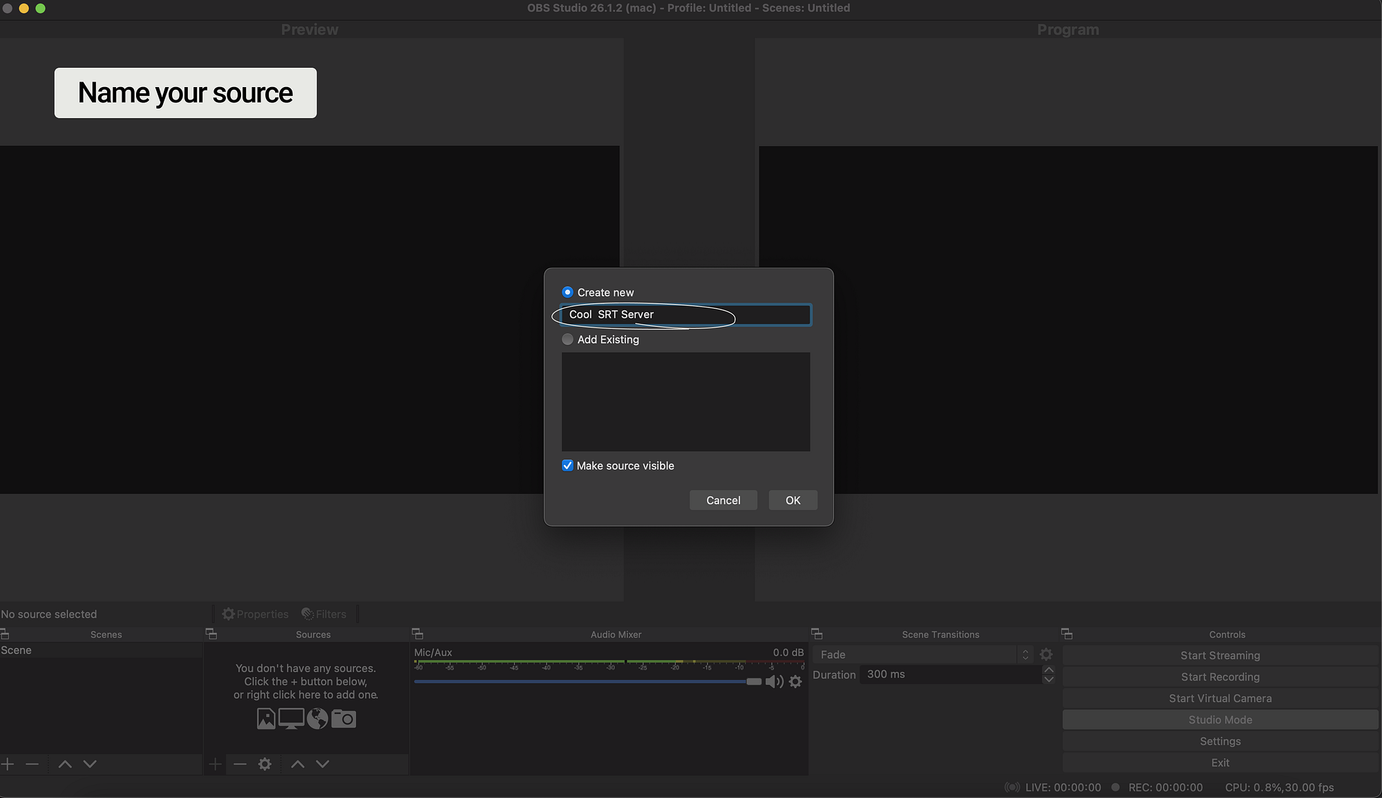 Name the SRT Media Source in OBS Studio